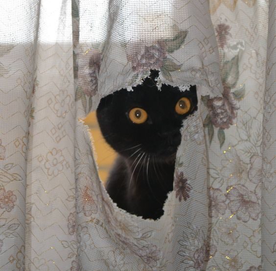 427b65ec648c58c137e37e31bc5a1393